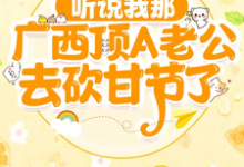 《听说我那广西顶A老公去砍甘节了》小说大结局免费试读 韦禹泽何清川小说-艾米文学