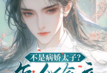 不是病娇太子？怎么偷亲小社恐！苏锦沅晏昭小说大结局免费试读-艾米文学