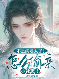 不是病娇太子？怎么偷亲小社恐！苏锦沅晏昭小说大结局免费试读