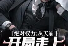 《绝对权力：从天崩开局走上官途巅峰》完整版小说免费阅读-艾米文学