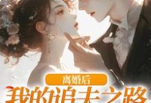 离婚后,我的追夫之路全是坎小说的无弹窗阅读体验,寻找免费阅读网站-艾米文学
