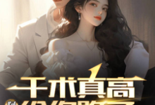 千术真高，阿姨给你跪了小说最新更新在哪里？免费在线看-艾米文学