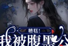 糟糕!我被腹黑公子缠上了苏妩顾妄,糟糕!我被腹黑公子缠上了章节在线阅读-艾米文学
