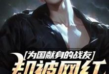 为国献身的战友却被网红嫌晦气小说有没有完结版在线?-艾米文学