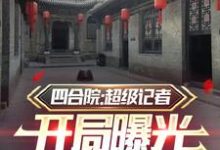 《四合院:超级记者开局曝光易忠海》全集免费在线阅读(方大海)-艾米文学