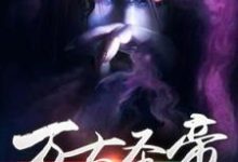 万古圣帝完整版小说,万古圣帝叶长枫-艾米文学