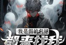 《我是假的包拯，都来找我诉冤干啥》周青天柳雪小说免费阅读完整版-艾米文学