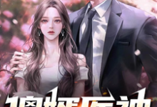 求推荐可以免费阅读傻婿医神小说的网站-艾米文学