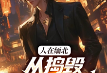 求推荐可以免费阅读人在缅北,从捣毁科技园开始小说的网站-艾米文学