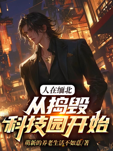 求推荐可以免费阅读人在缅北，从捣毁科技园开始小说的网站