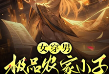 女穿男:极品农家小子的科举小说的免费阅读版本在哪里可以找到?-艾米文学