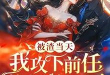 沈舒薇小说免费阅读完整版-艾米文学