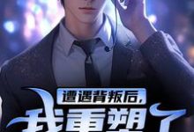 小说《遭遇背叛后，我重塑了人身》完整版章节免费阅读-艾米文学