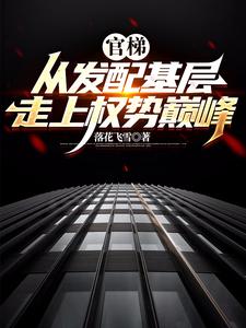 《官梯：从发配基层走上权势巅峰》全集免费在线阅读（杨飞方婷）