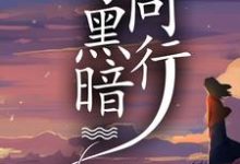 与黑暗同行这本小说怎么样？免费在线阅读试试-艾米文学