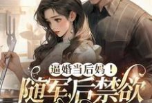 小说完整版《逼婚当后妈!随军后禁欲大佬上瘾》免费阅读-艾米文学