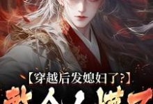 穿越后发媳妇了？整个人懵了免费阅读，穿越后发媳妇了？整个人懵了萧辰-艾米文学
