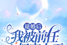 完整版小说《退婚后,我被前任小叔宠上天》免费阅读-艾米文学