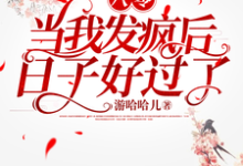 八零，当我发疯后，日子好过了这本小说怎么样？免费在线阅读试试-艾米文学