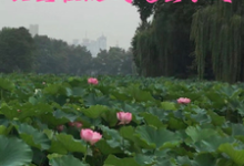 公主在现代风生水起君无忧章有乾小说在线章节目录阅读最新章节-艾米文学