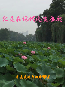 公主在现代风生水起君无忧章有乾小说在线章节目录阅读最新章节