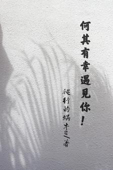 寻找能够免费阅读何其有幸遇见你！小说的平台