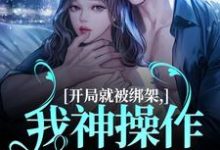 《开局就被绑架,我神操作自救成功》小说印照季砚淮章节章节免费在线阅读-艾米文学