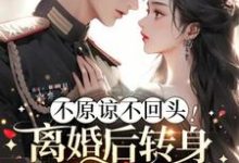 不原谅不回头!离婚后转身嫁霸道军官(林稚)完整版在线免费阅读-艾米文学