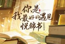 《你,是我最好的遇见》姜颜叶图南小说免费阅读完整版-艾米文学