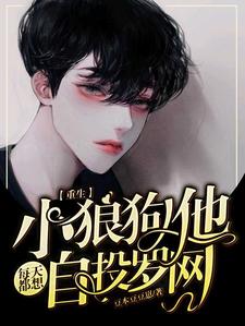 在线免费阅读【重生】小狼狗他每天都想自投罗网完整小说