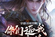 《穿越：哭啥哭啊，你们逼我入魔道》陆川风九天小说免费阅读完整版-艾米文学