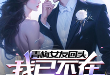 青梅女友回头,我已不在原地等她小说,青梅女友回头,我已不在原地等她在线阅读-艾米文学
