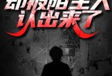 小说《出狱后打零工,却被陌生人认出来了》完整版在线章节免费阅读-艾米文学