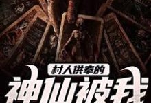 求推荐可以免费阅读村人供奉的神仙被我娶到了小说的网站-艾米文学