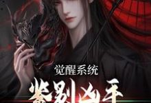 沈墨小说完整版《觉醒系统：鉴别凶手只靠火眼金睛》免费阅读-艾米文学