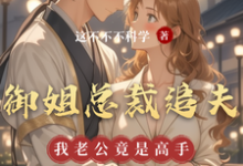《御姐总裁追夫,我老公竟是高手》小说免费阅读完整版-艾米文学