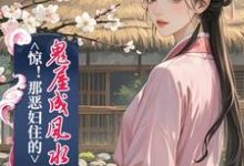 惊!那恶妇住的鬼屋成风水宝地了完整版小说免费阅读,惊!那恶妇住的鬼屋成风水宝地了小说-艾米文学