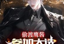 《偷渡鹰酱,参加大选不过分吧?》赵峰完整版小说免费阅读-艾米文学