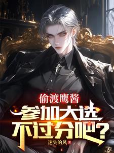 《偷渡鹰酱，参加大选不过分吧？》赵峰完整版小说免费阅读