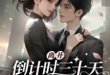 完结版《离开倒计时三十天,傅总破防了》免费阅读-艾米文学