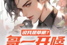 说我是草根？哥一开嗓就秒杀小说完结了吗？在哪里可以免费读到？-艾米文学