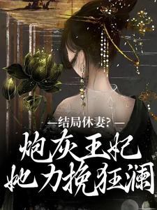 求结局休妻？炮灰王妃她力挽狂澜小说免费资源