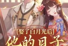 盛栖月萧玉衡完整版《娶了白月光后,他的日子鸡飞狗跳》小说免费阅读-艾米文学