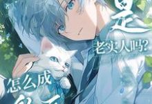 完结版《不是老实人吗?咋变钓系病美人了》章节目录在线阅读-艾米文学