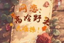 网恋：高冷野王太难撩！免费阅读，网恋：高冷野王太难撩！章节在线阅读-艾米文学