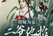 替嫁为妾？二爷他抬我为妻景韫昭苏璃棠，替嫁为妾？二爷他抬我为妻在线无弹窗阅读-艾米文学
