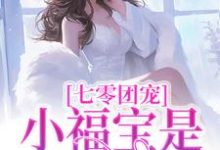 小宝小说完整版《七零团宠：小福宝是锦鲤吖》免费阅读-艾米文学