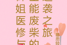 《御姐医修与全能废柴的逆袭之旅》小说章节在线试读，《御姐医修与全能废柴的逆袭之旅》最新章节目录-艾米文学