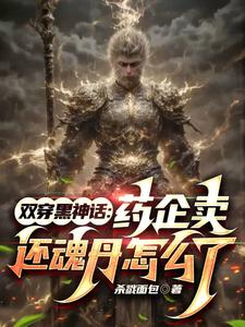 双穿黑神话：药企卖还魂丹怎么了小说的无弹窗阅读体验，寻找免费阅读网站