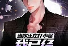 当你还在打小怪，我已经觉醒双职业这本小说在哪里可以看？哪里有免费试读章节？-艾米文学